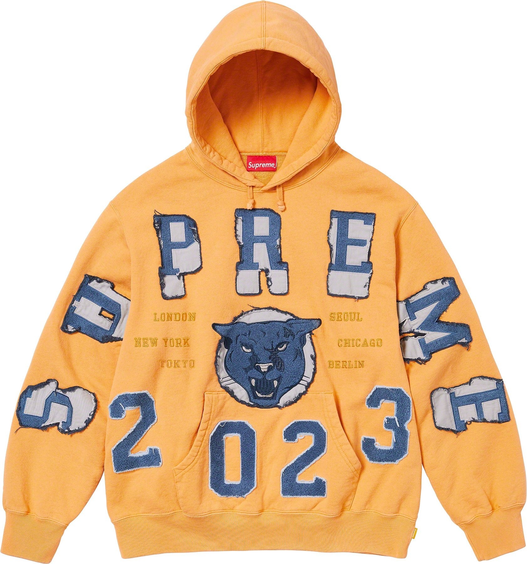 Washed Panther Hooded Sweatshirt view 4